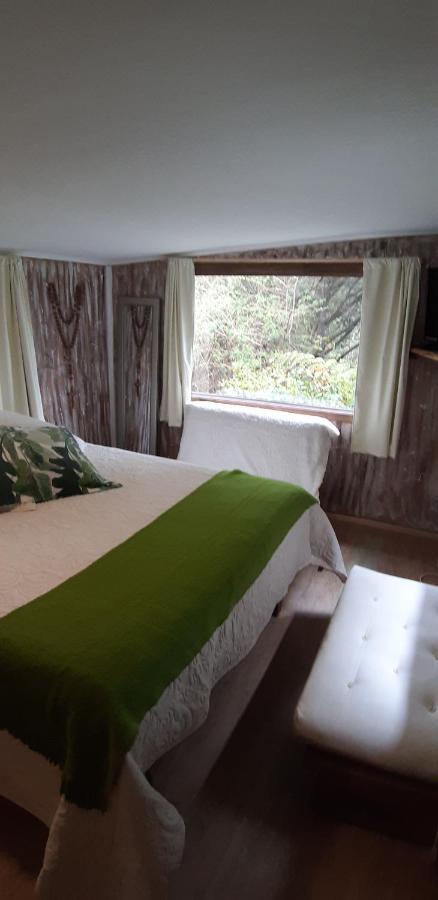 Eco Cabana Пуэрто-Варас Экстерьер фото